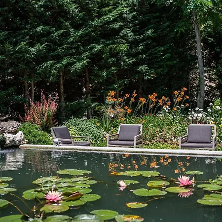 Отель Romance And Family