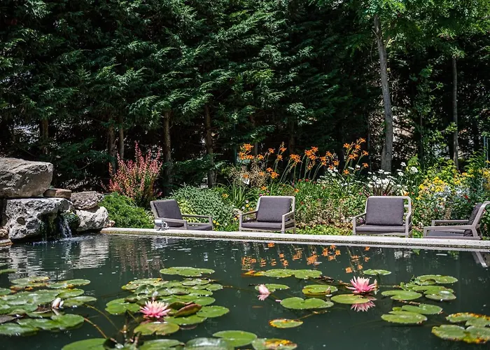 Hotel Romance And Family